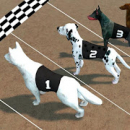 Louco Dog Racing