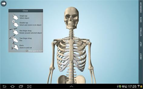 Anatomía 3D - imagen Anatronica