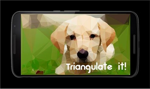 Triangulate it! image
