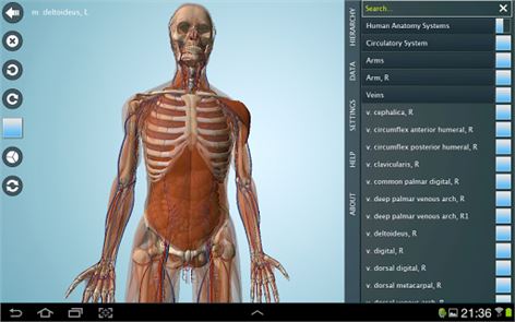 Anatomía 3D - imagen Anatronica