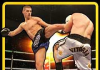 Download Boxing Defending Champion Android App on PC/ Boxing Defending Champion For PC
