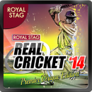 Download Real Cricket ’14 for PC/Real Cricket ’14 on PC