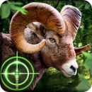 Download Wild Hunter 3D Android App for PC/Wild Hunter 3D on PC